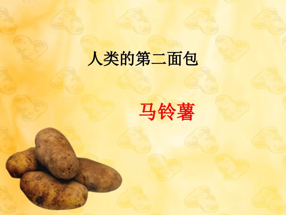 土豆的营养.ppt_第2页