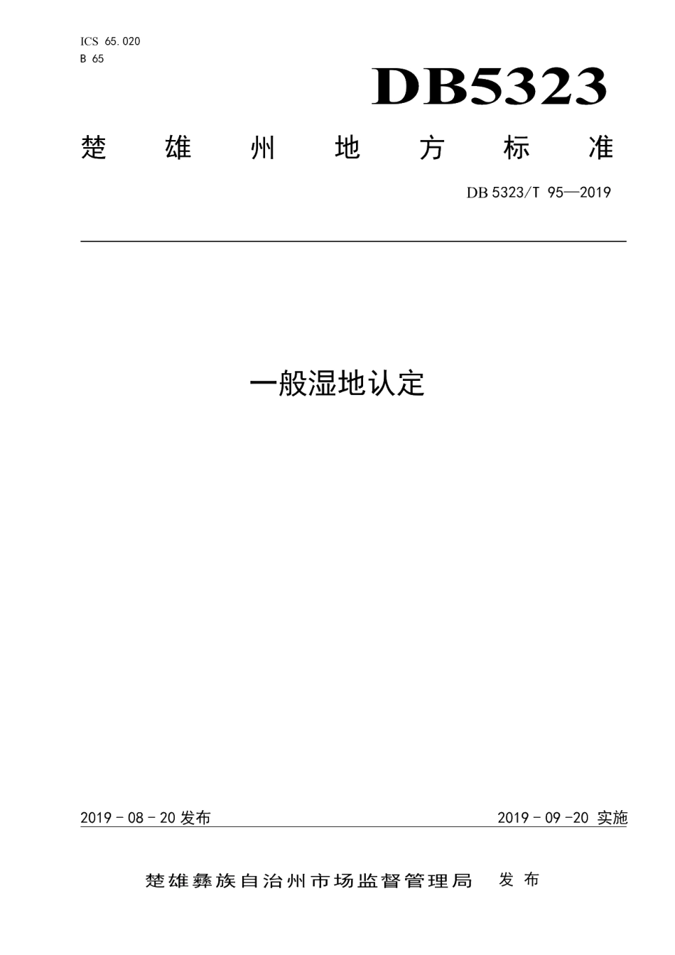DB5323T 95-2019 一般湿地认定.pdf_第1页