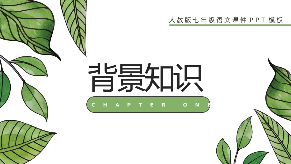 人教版七年级语文从百草园到三味书屋PPT课件.pptx_第3页