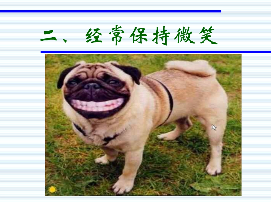 动物的快乐哲学PPT课件.ppt_第3页