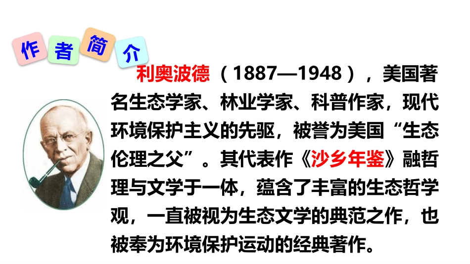 大雁归来PPT课件4.pptx_第3页