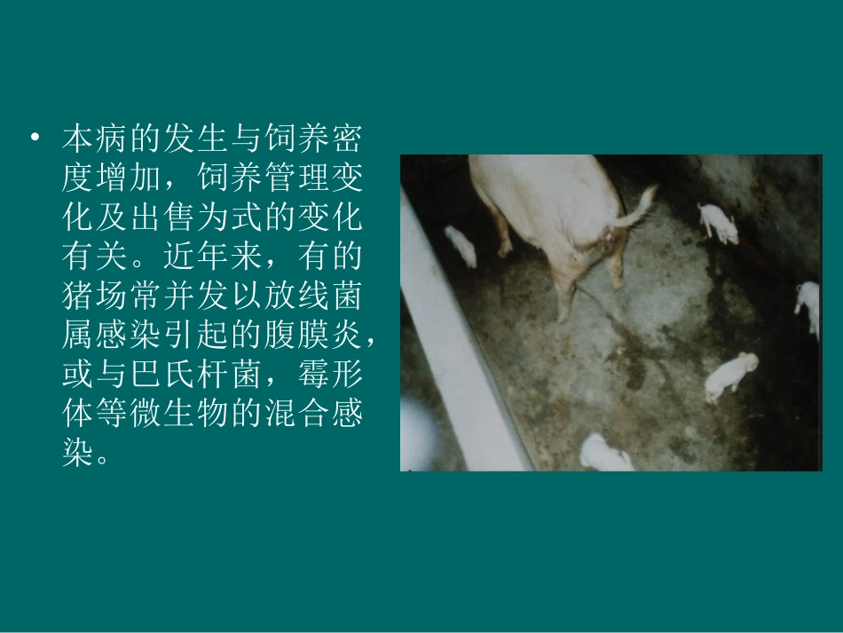 伪狂犬病.ppt_第3页