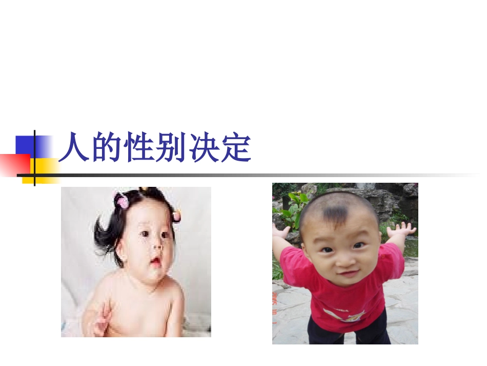 体细胞中常染色体和性染色体的数目生殖细胞中呢.ppt_第1页