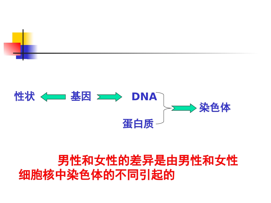 体细胞中常染色体和性染色体的数目生殖细胞中呢.ppt_第2页