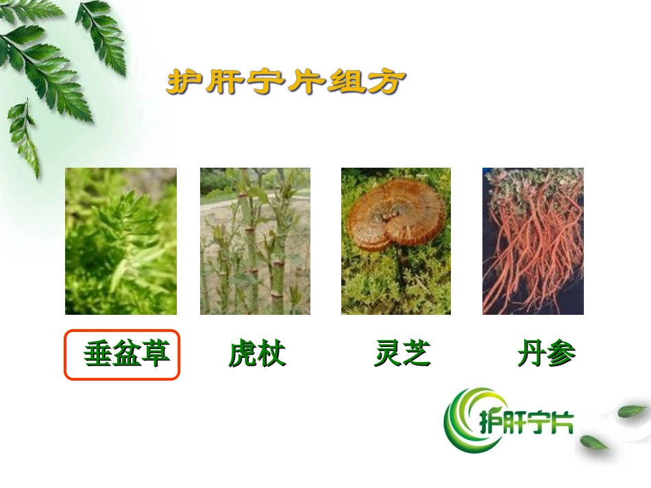 信邦护肝宁片科会2013.pptx.ppt_第3页