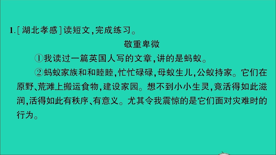 小升初语文归类冲刺专题六阅读理解专项二十四散文阅读课件.ppt_第2页