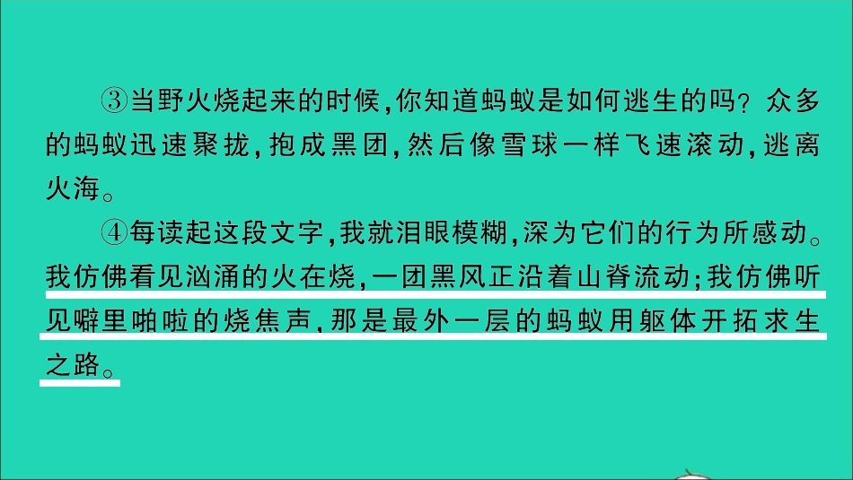 小升初语文归类冲刺专题六阅读理解专项二十四散文阅读课件.ppt_第3页