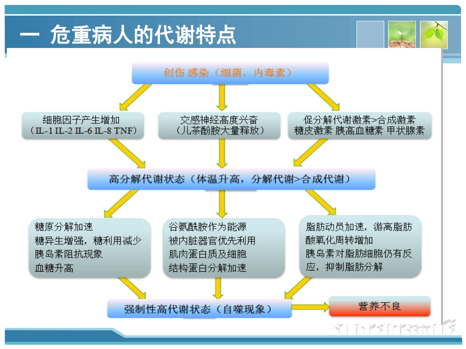 危重病人的代谢特点和营养评定.ppt_第3页