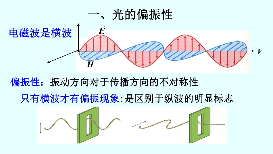 复旦大学《大学物理》课件-光的偏振 (1)(1).pdf_第3页