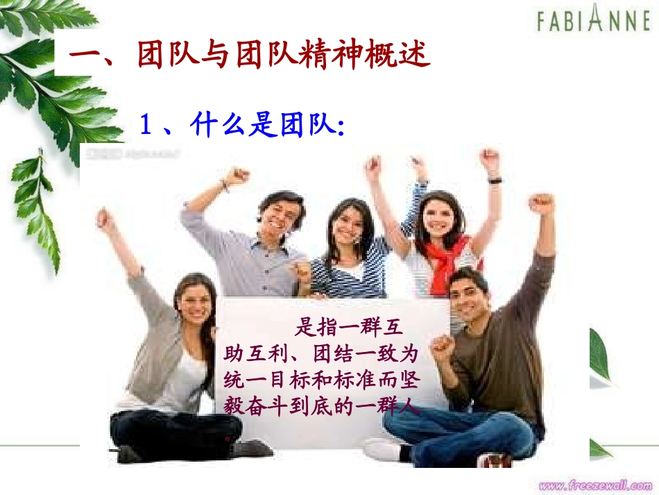 团队建设与团队精神培养.ppt_第3页