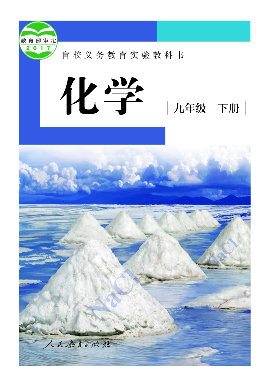 盲校义务教育实验教科书化学九年级下册（供低视力生使用）.pdf_第1页