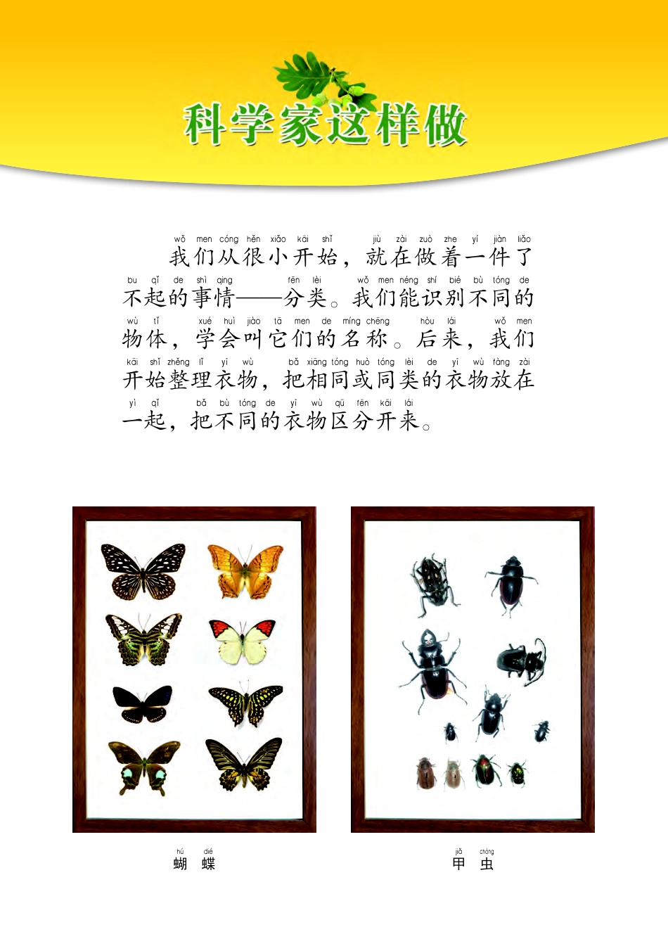 义务教育教科书·科学一年级下册.pdf_第3页