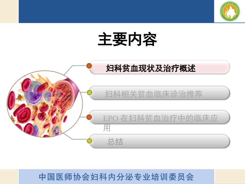 围手术期贫血诊治推荐.ppt_第3页