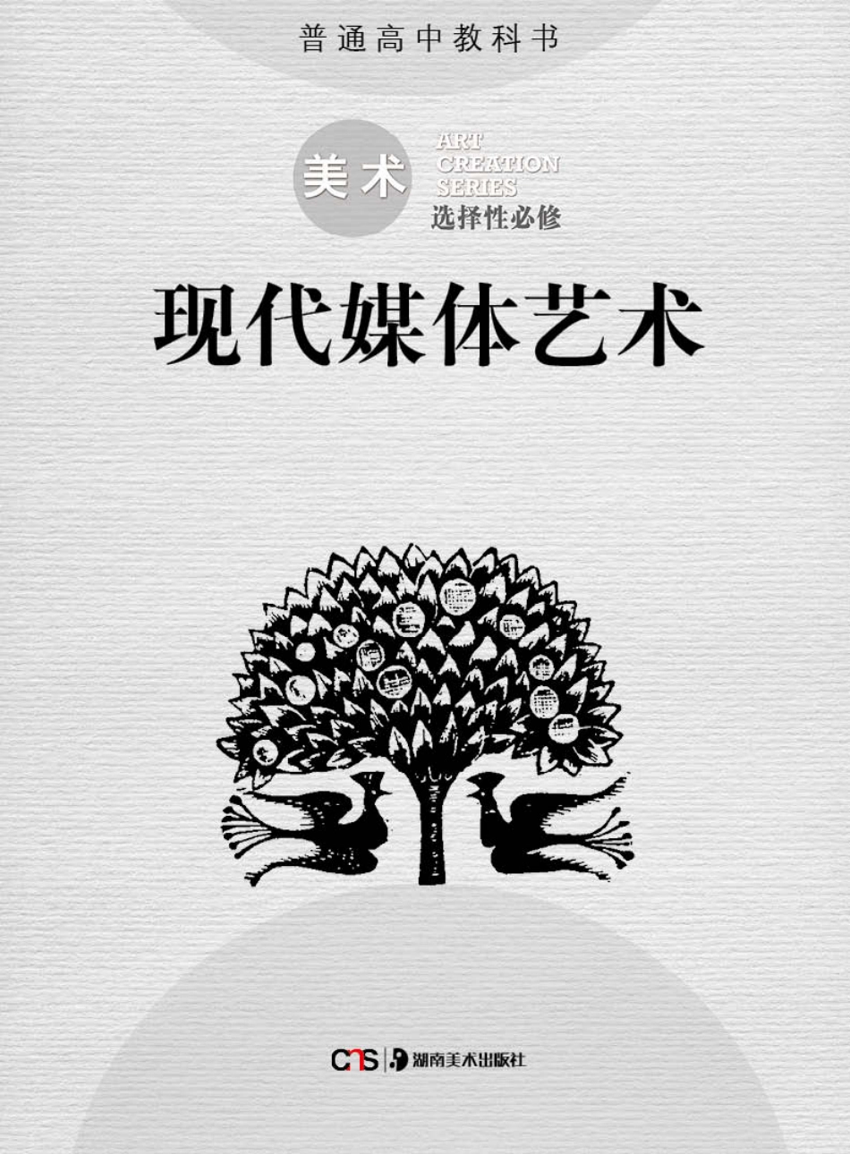 普通高中教科书·美术选择性必修6 现代媒体艺术.pdf_第2页