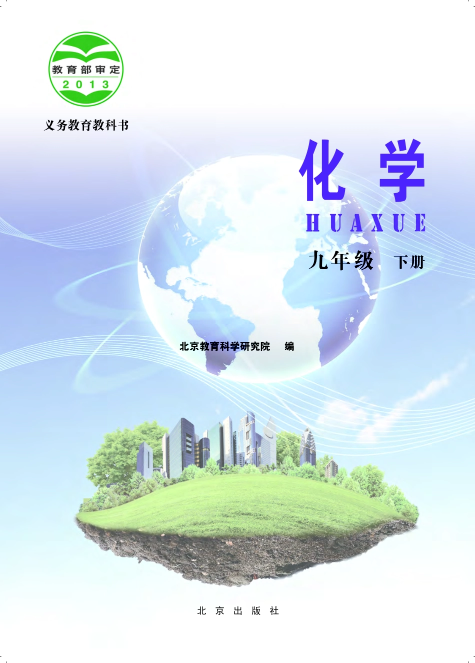 义务教育教科书·化学九年级下册.pdf_第2页