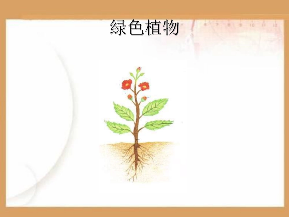 植物的营养PPT课件.ppt_第2页