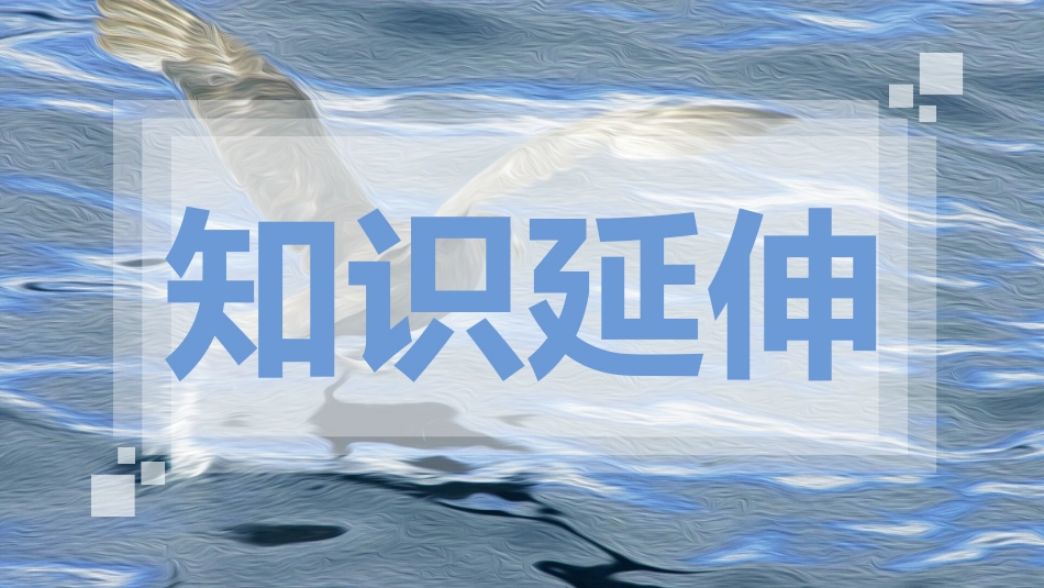 海燕PPT课件.pptx_第3页