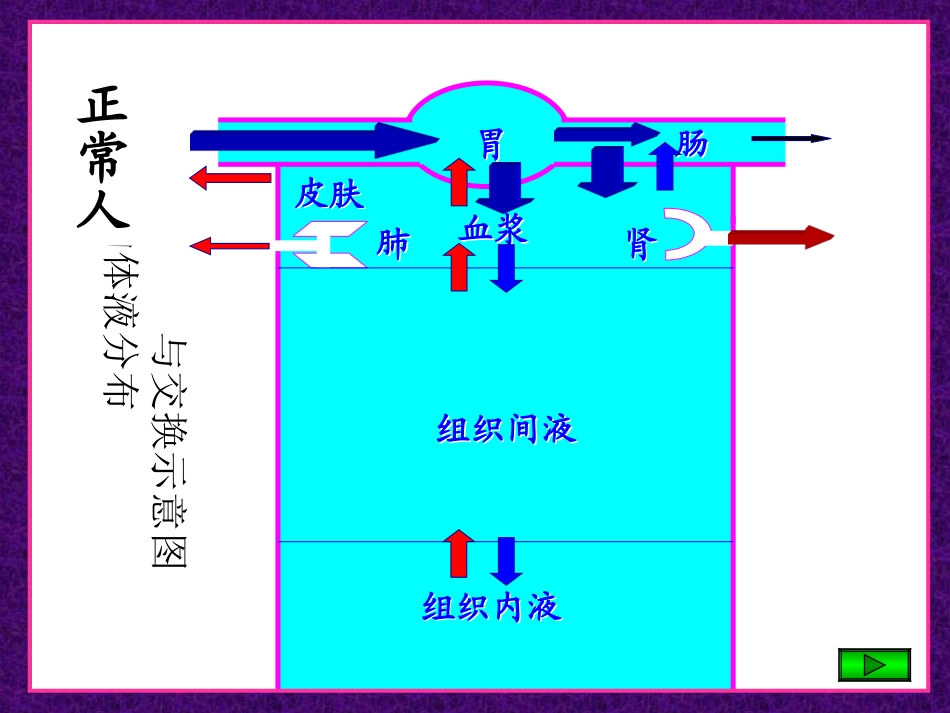 外科病人的体液失衡(一).ppt_第2页