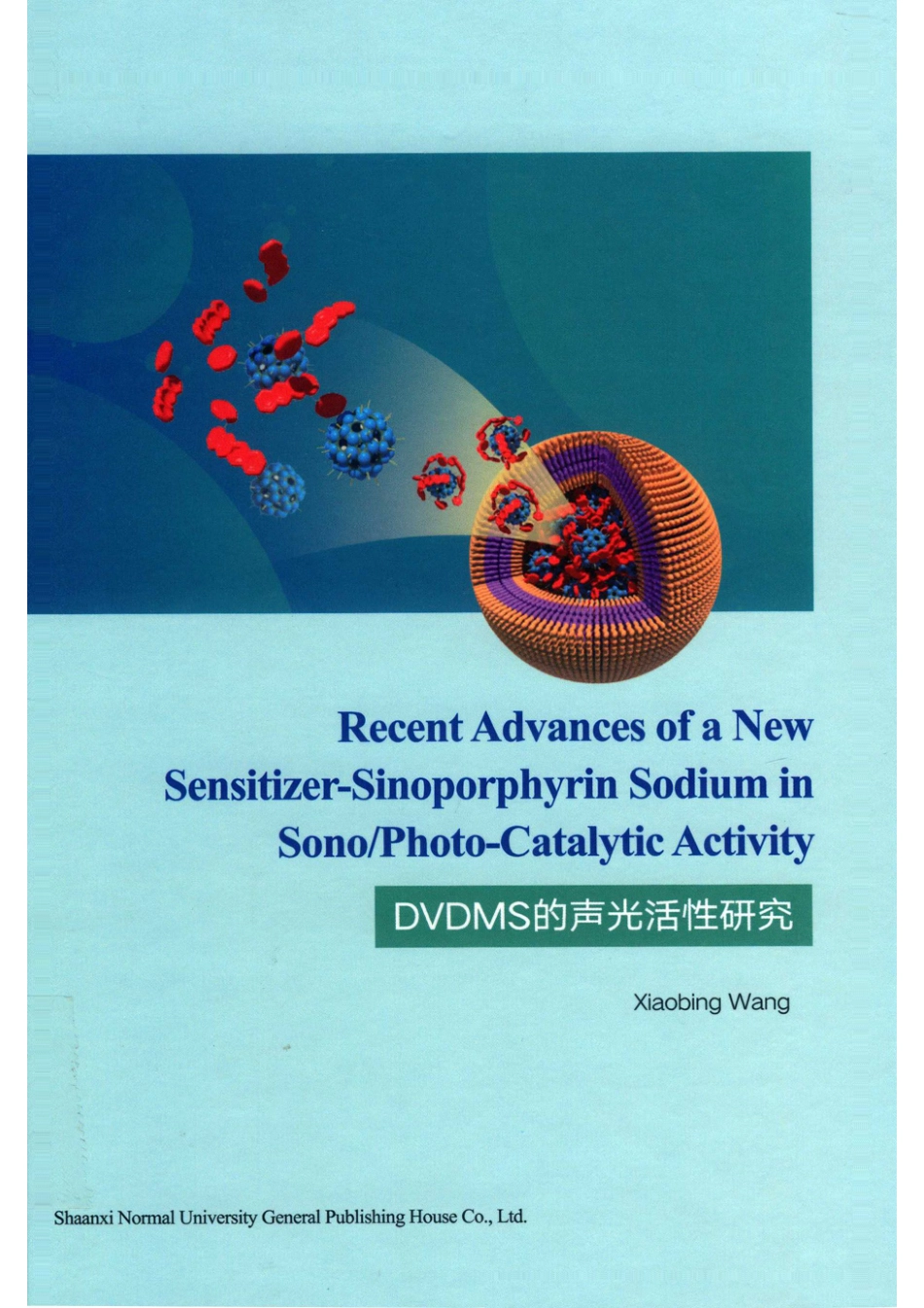 DVDMS的声光活性研究_王筱冰（xiaobingwang）著.pdf_第1页