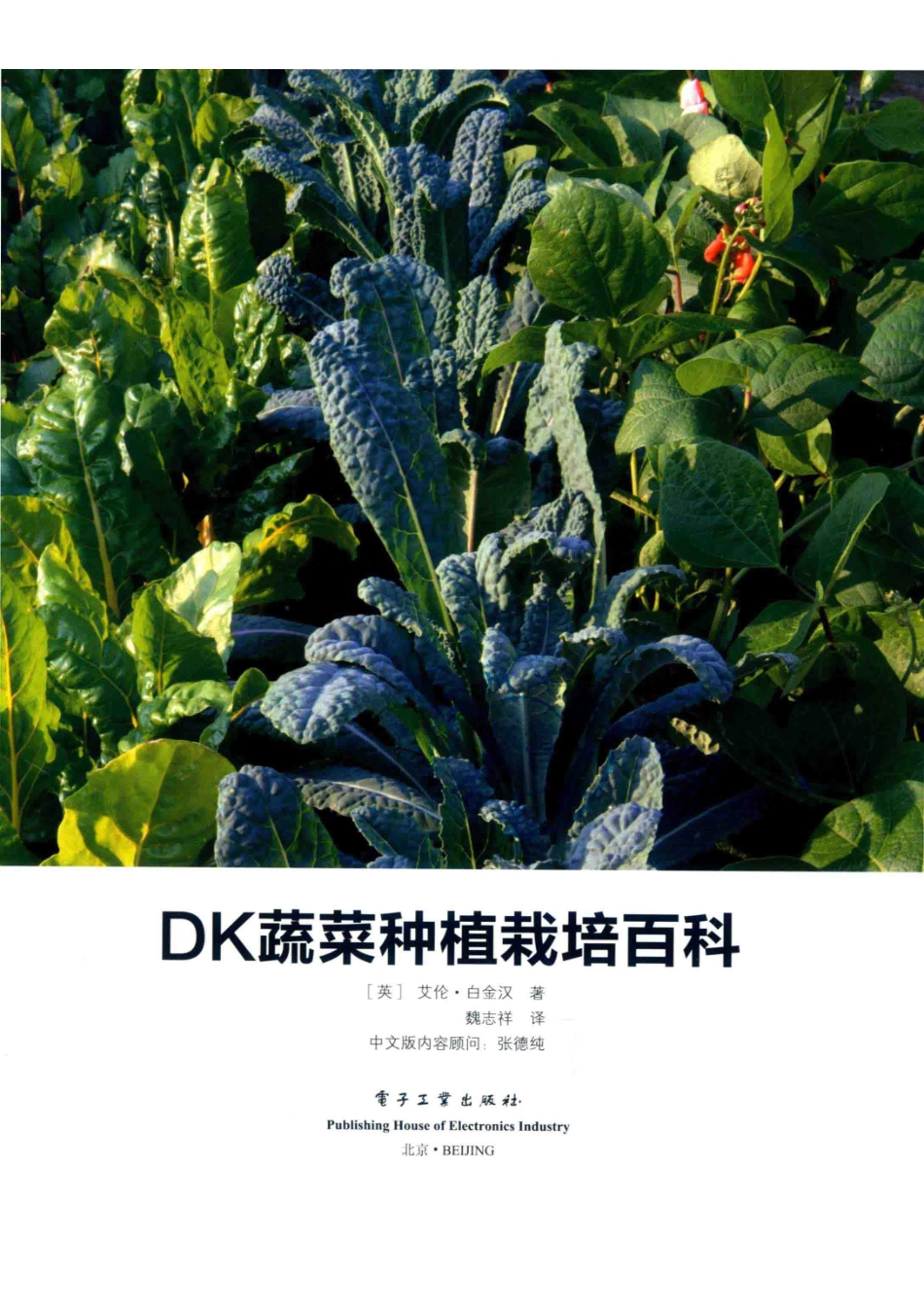 DK蔬菜种植栽培百科_（英）艾伦·白金汉著；魏志祥译；张德纯中文版内容顾问.pdf_第2页