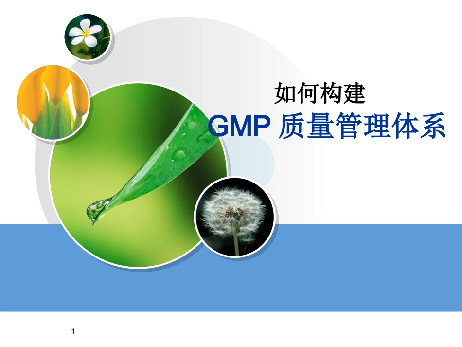 如何构建GMP质量管理体系.ppt_第1页