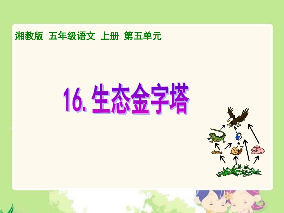 生态金字塔[PPT课件].ppt_第1页