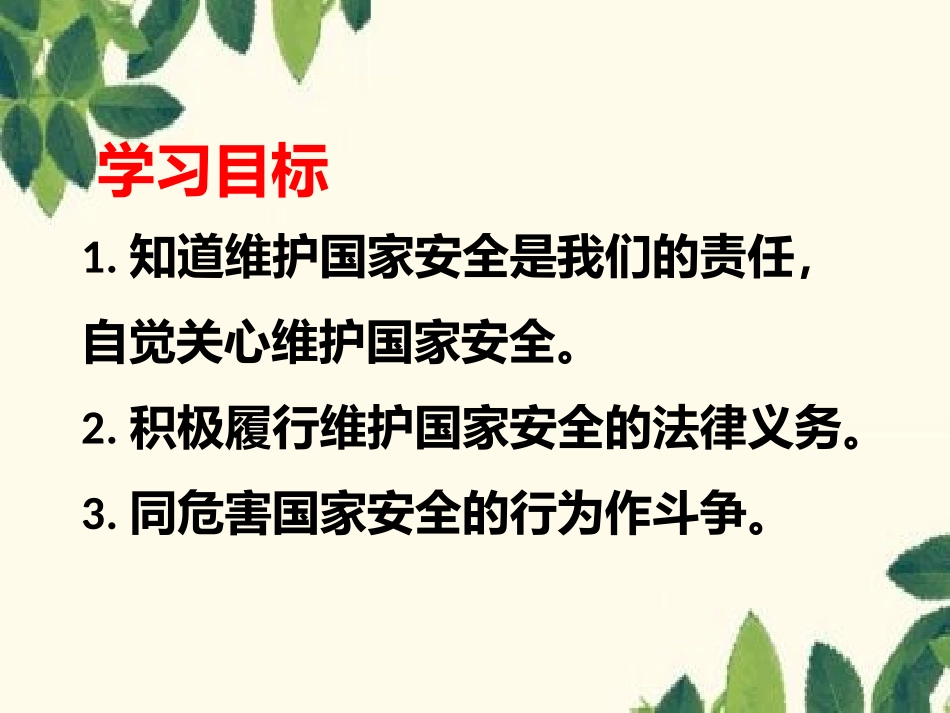 维护国家安全-课件-(共17张PPT).pptx_第2页