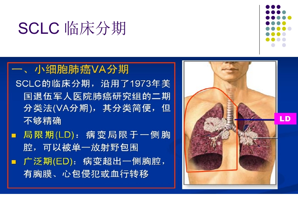 小细胞肺癌2016指南解读.ppt_第3页