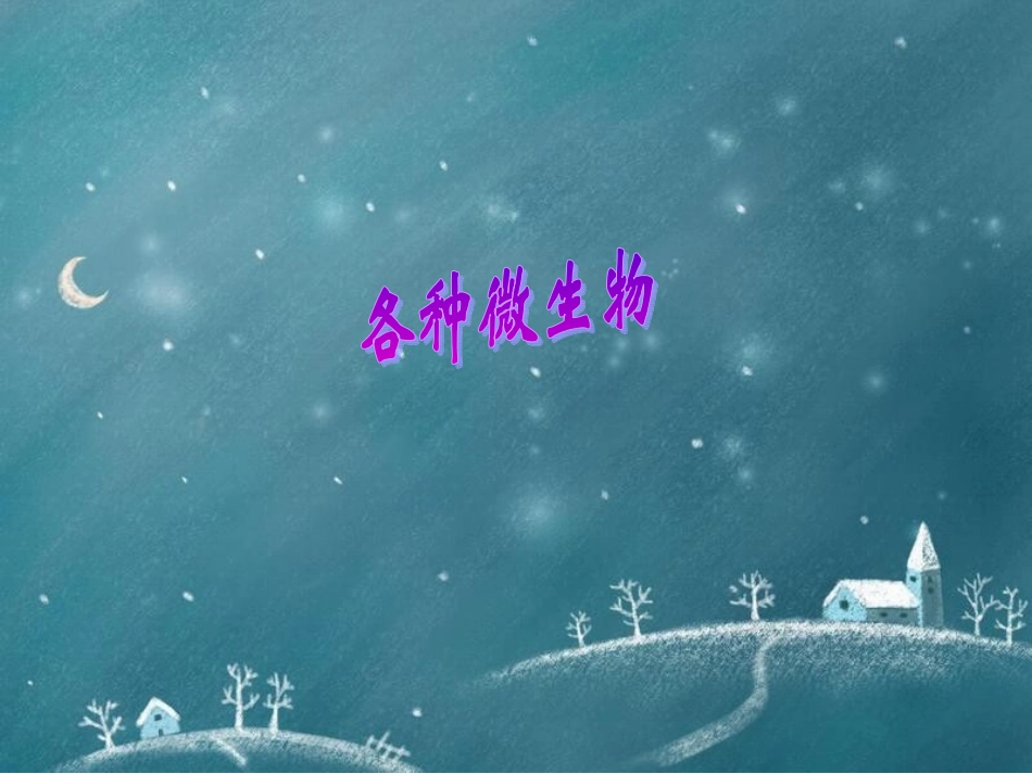 小核和细胞质分裂2次后.ppt_第1页