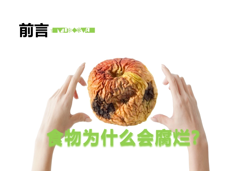 小队活动之《神奇的细菌》.pptx_第2页