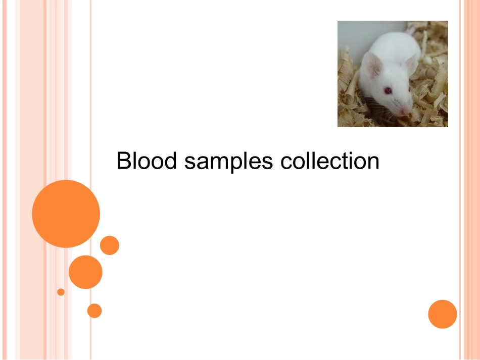 小鼠常用采血方法.ppt_第1页