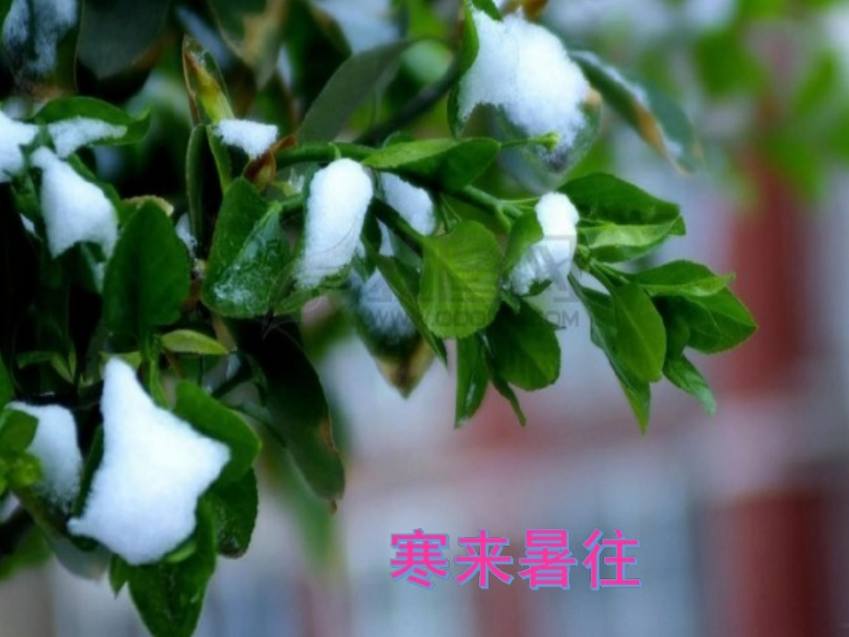 师德师风建设活动演讲《坚守一方净土用爱写好师德》.ppt_第3页