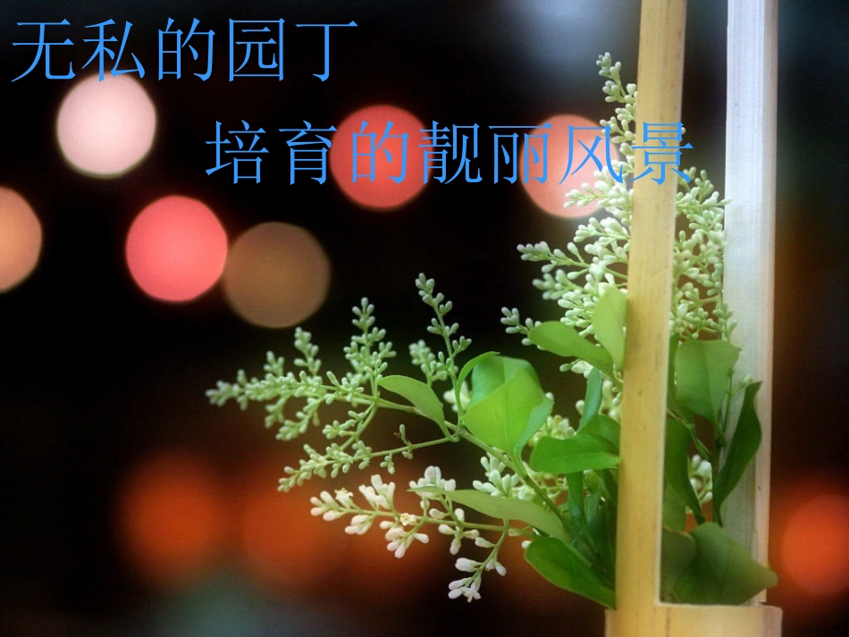 师德演讲《无私的园丁培育的靓丽风景》.ppt_第1页