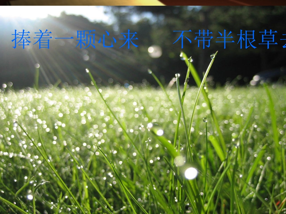 师德演讲《无私的园丁培育的靓丽风景》.ppt_第2页