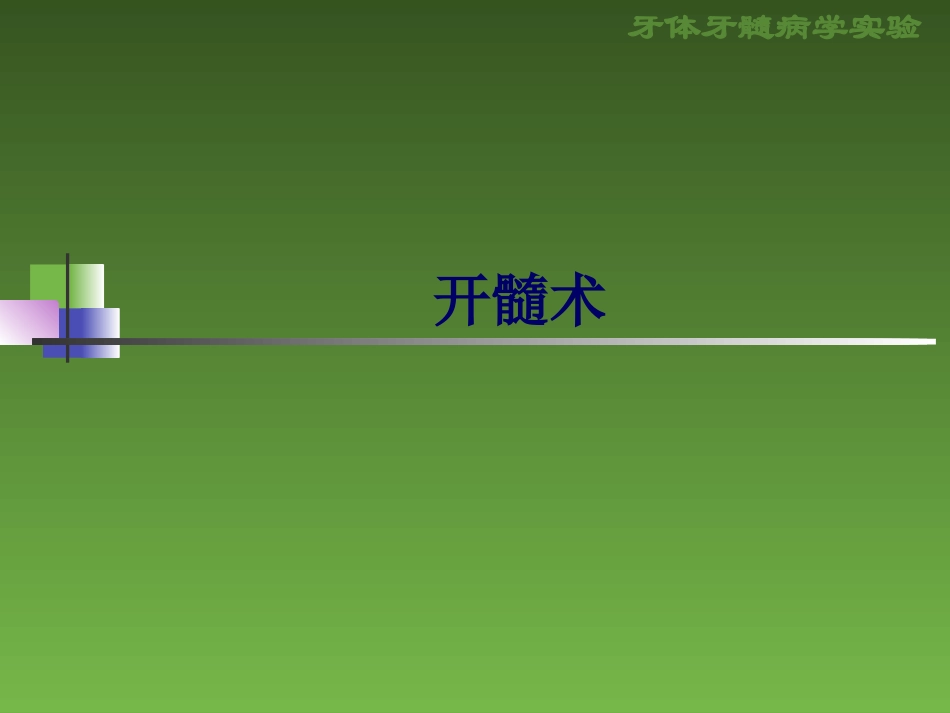 形牙体牙髓病学试验.ppt_第1页