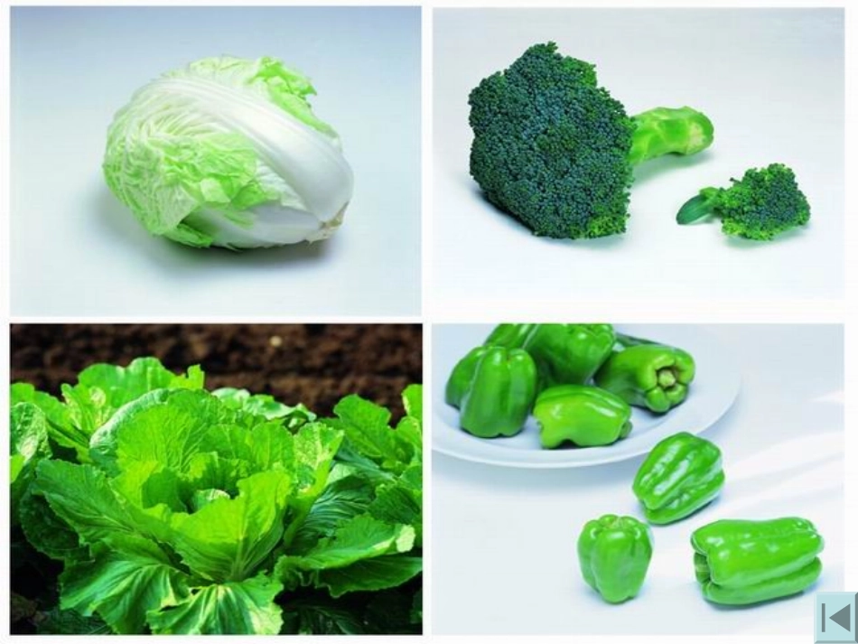 微课《第七类营养素—膳食纤维》(共19张PPT)---副本.ppt_第3页