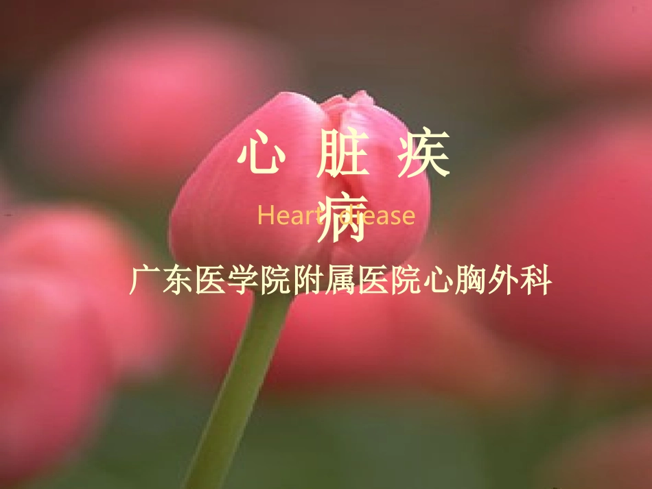 心-脏-疾-病a.ppt_第1页