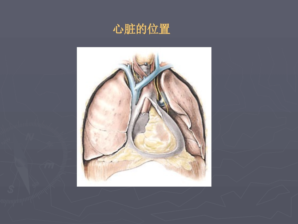 心-脏-疾-病a.ppt_第2页
