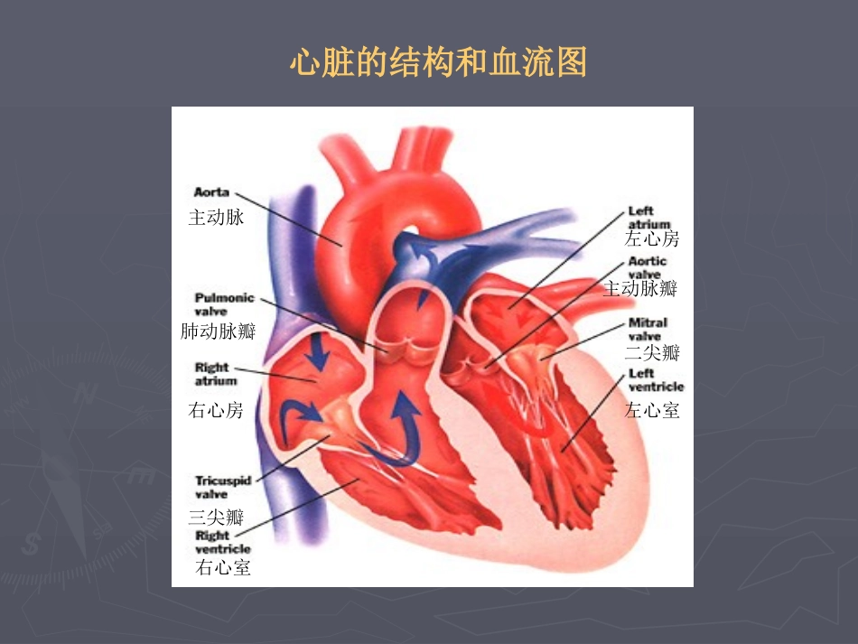 心-脏-疾-病a.ppt_第3页