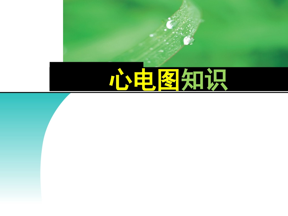 心电图与常见急救药品的应用.ppt_第1页