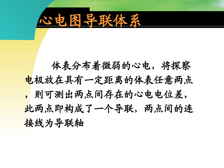 心电图与常见急救药品的应用.ppt_第2页