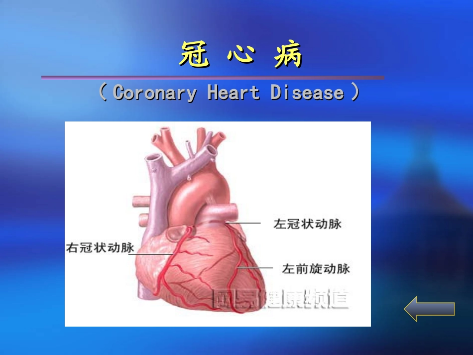 心绞痛与急性心肌梗塞.ppt_第2页