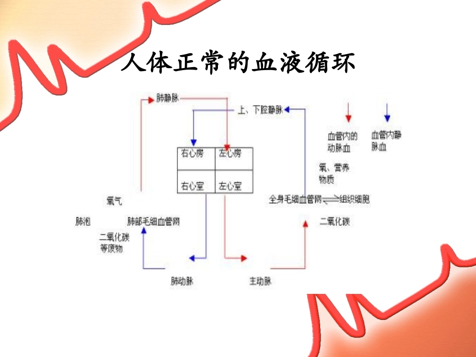 心脏、血管手术的配合.pptx_第3页