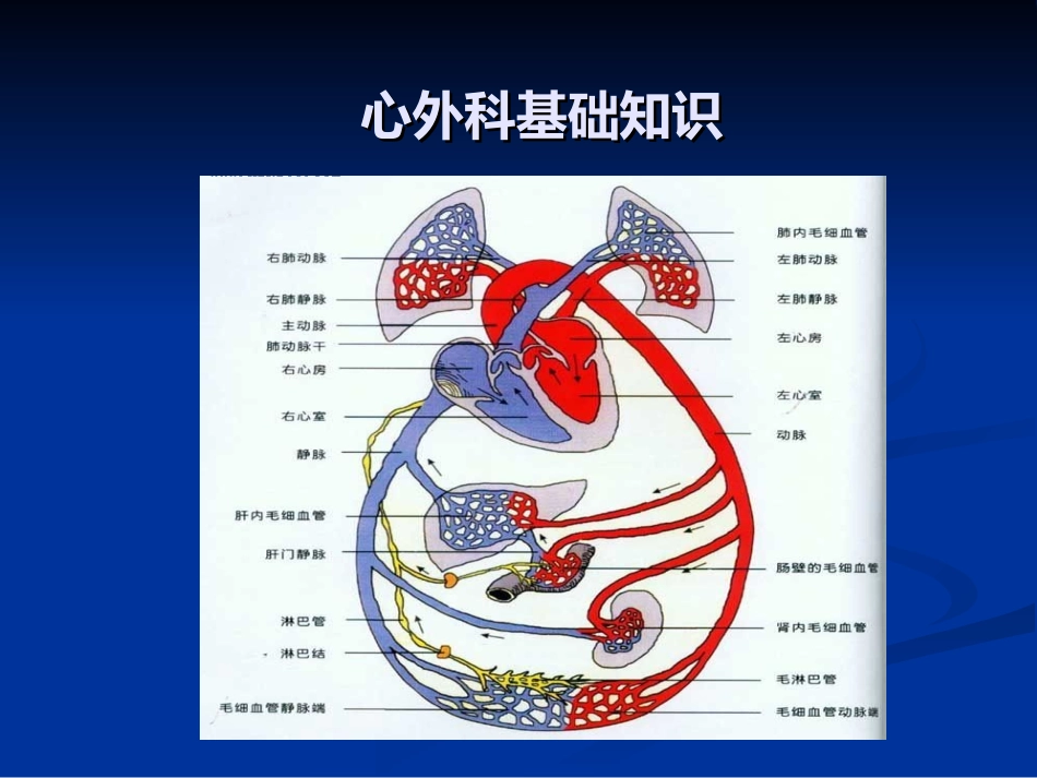 心脏外科概述7.ppt_第3页