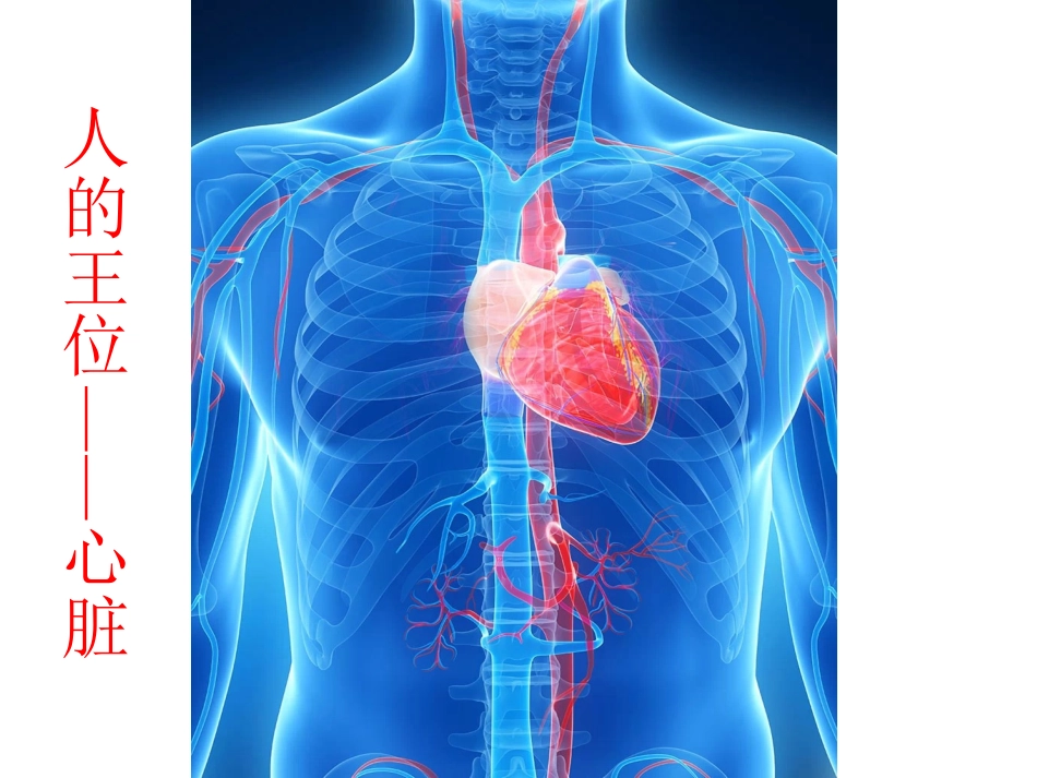 心脏标本解说.ppt_第1页