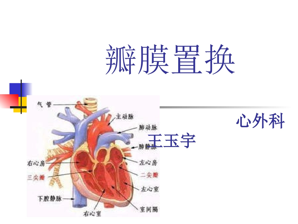心脏瓣膜病个案2.ppt_第1页