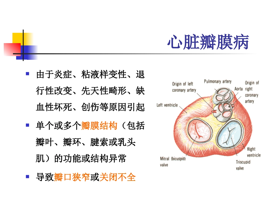 心脏瓣膜病个案2.ppt_第2页