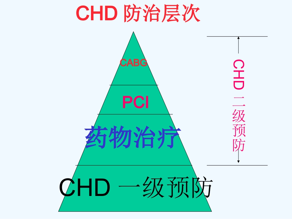 心血管病合理用药的常见原则及误区分析协和阜外医院顼志敏.ppt_第2页