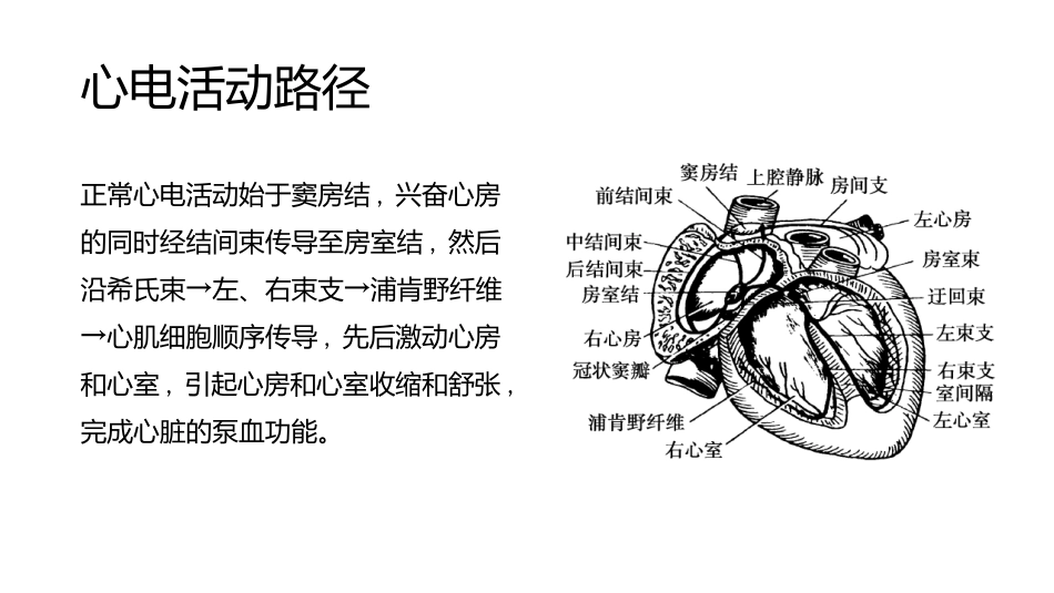 心脏离子通道病.pptx_第3页