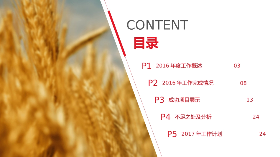 杂志风个人年终总结PPT模板(精品).pptx_第2页